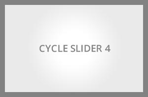 cycle4