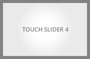Quisque consectetur tempus touch4