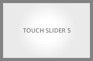 Nullam nec tortor neque touch5